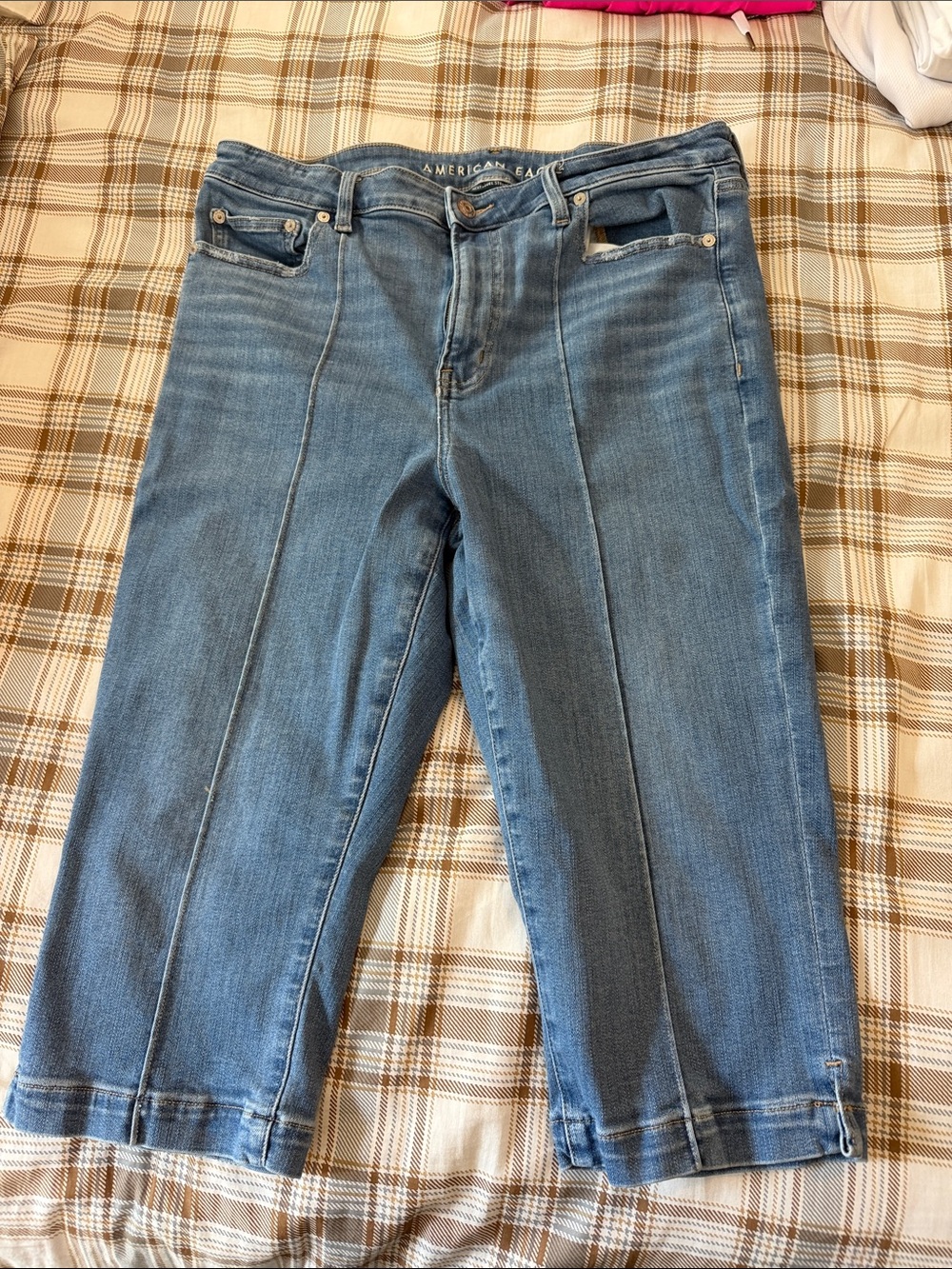 American Eagle Outfitters Light Blue Front-Seam Capri